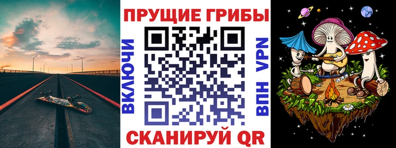 сайты даркнета какой сайт  Каневская  Галлюциногенные грибы GOLDEN TEACHER 